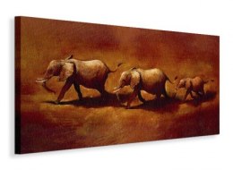 Three African Elephants - Obraz na płótnie