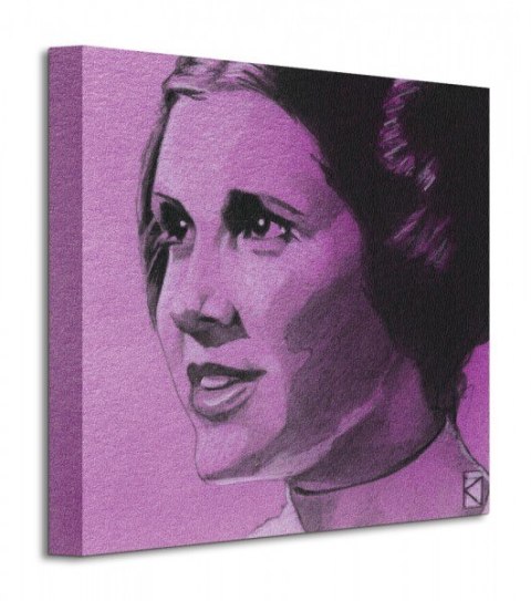 Star Wars Gwiezdne Wojny Princess Leia Sketch - Obraz na płótnie