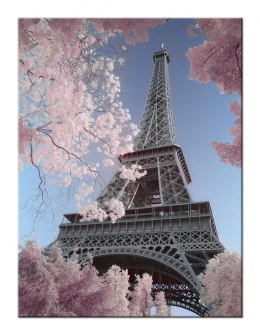 Eiffel Tower Infrared, Paris - Obraz na płótnie