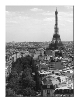 Eiffel Tower, Paris - Obraz na płótnie