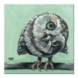 Little Owl - Obraz na płótnie