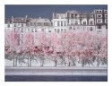 River Seine Infrared, Paris - Obraz na płótnie