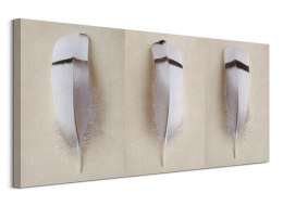 Egyptian Goose Feather Triptych - obraz na płótnie