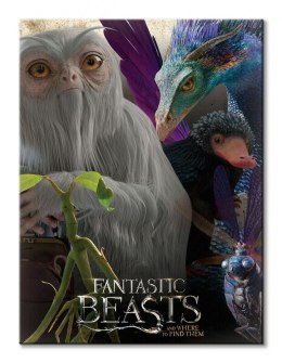 Fantastic Beasts (Fantastic Beasts) - obraz na płótnie