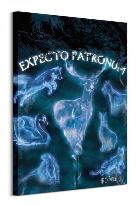 Harry Potter (Patronus) - obraz na płótnie