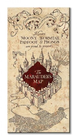 Harry Potter (The Marauders Map) - Obraz na płótnie