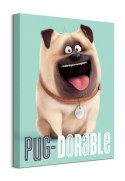 The Secret Life Of Pets (Pug-Dorable) - Obraz na płótnie