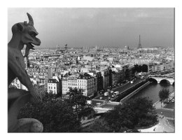 View From Notre-Dame, Paris - Obraz na płótnie