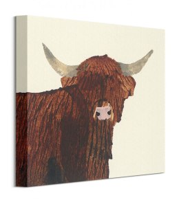 Highland Cow - obraz na płótnie