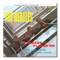 The Beatles Please Please Me - obraz na płótnie