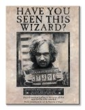 Harry Potter (Wanted Sirius Black) - Obraz na płótnie