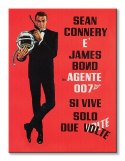 James Bond (Si Vive Solo Due Volte) - Obraz na płótnie