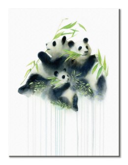 Pandas Bamboo - obraz na płótnie