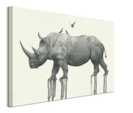 Majestic Rhinoceros - obraz na płótnie