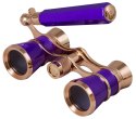 Lorgnon Levenhuk Broadway 325L Amethyst/Ametyst