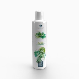 Żel pod prysznic Ginko Biloba i Bambus 300ml - Alkemilla K-Essence